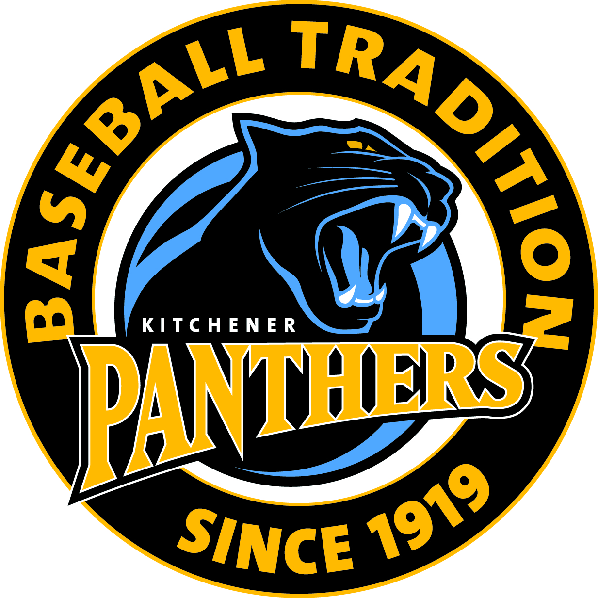 Panthers Logo 2010